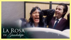 La cabeza de Nora se introduce en el agua del retrete