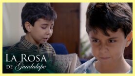 Noah no pretende ser inofensivo Parte 1