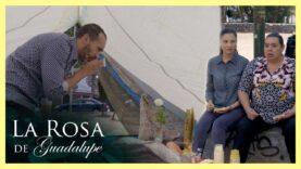 Luchando por sus hogares