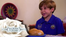 Pablo no quiere amistad