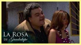 Amalia hace todo lo posible para no…..