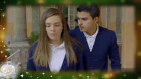 Alan se enamora profundamente de Iris