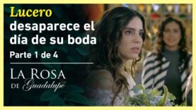 Alice revela la verdad