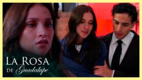 Potro salva a Alondra de la mafia