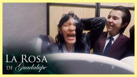 La cabeza de Nora se introduce en el agua del retrete