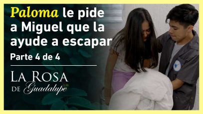 Miguel hace todo lo posible por salvar a Paloma