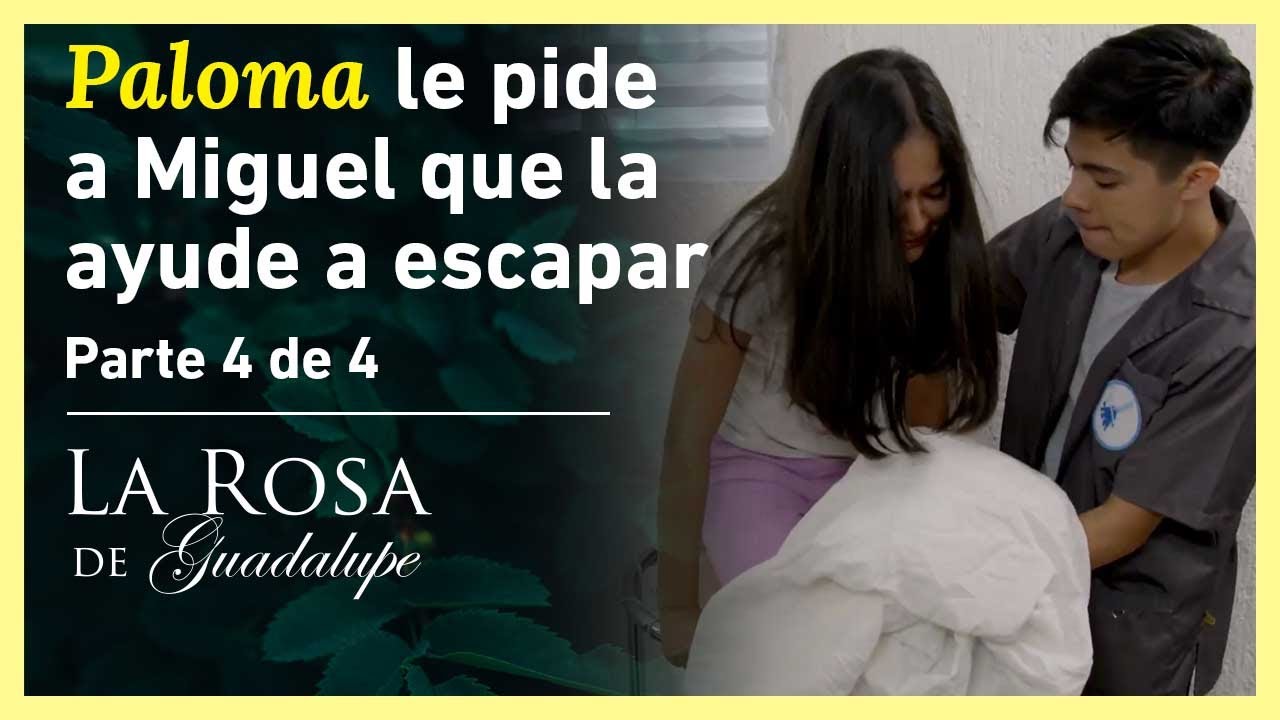 Miguel hace todo lo posible por salvar a Paloma