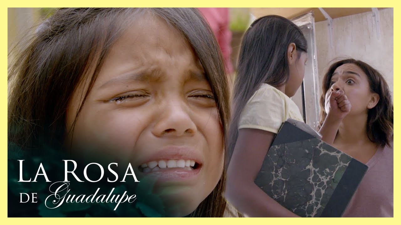 Hedwig no trata bien a Chelita