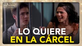 La verdadera causa de mi caída