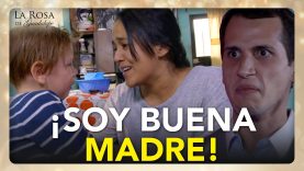 Miguelito es separado de su mamá por trabajar en un centro