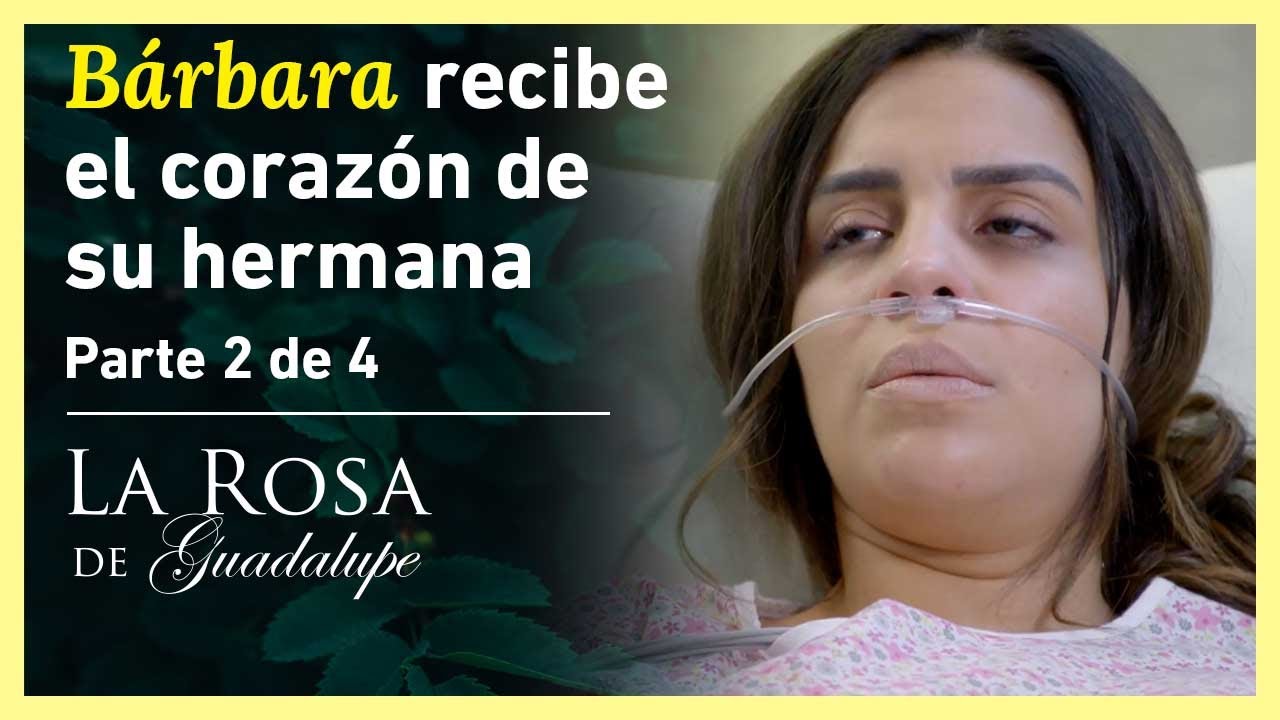Bárbara está celosa de su hermana 3 y 4